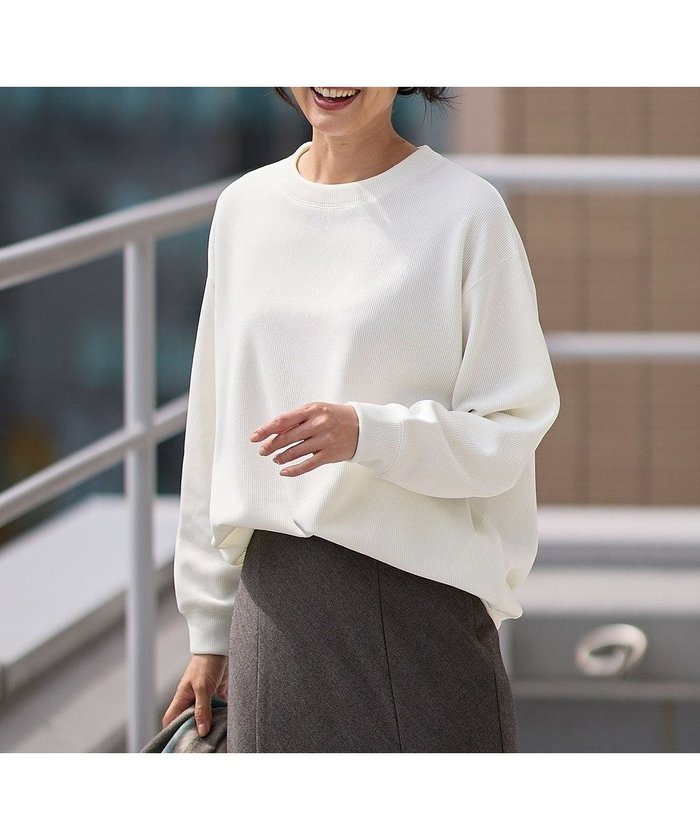 【エニー/ANY】のダブルフェイスジャージープルオーバー インテリア・キッズ・メンズ・レディースファッション・服の通販 founy(ファニー) https://founy.com/ ファッション Fashion レディースファッション Fashion for Women トップス・カットソー Cut & Sew Tops シャツ・ブラウス・オフィスカジュアル Elegant Blouses & Button-Ups ロングTシャツ・Tシャツ Longline T-Shirts & Tees カジュアルプルオーバー・ニットトップス Pullovers & Knit Tops / Casual Pullovers カットソー・ベーシックTシャツ Cut-and-Sewn Tops / Stretch Tees & Basics おすすめ Recommended / Our Picks インナー Innerwear カットソー Cut and Sewn Top シンプル Simple, Minimal ジャケット Jacket, Outerwear ダブル Double, Double-Breasted フェイス Face, Facial Design 切替 Switching, Contrast Panel 洗える Machine Washable A/W・秋冬 Autumn/Winter |ID: prp329100004867086 ipo3291000000036254932