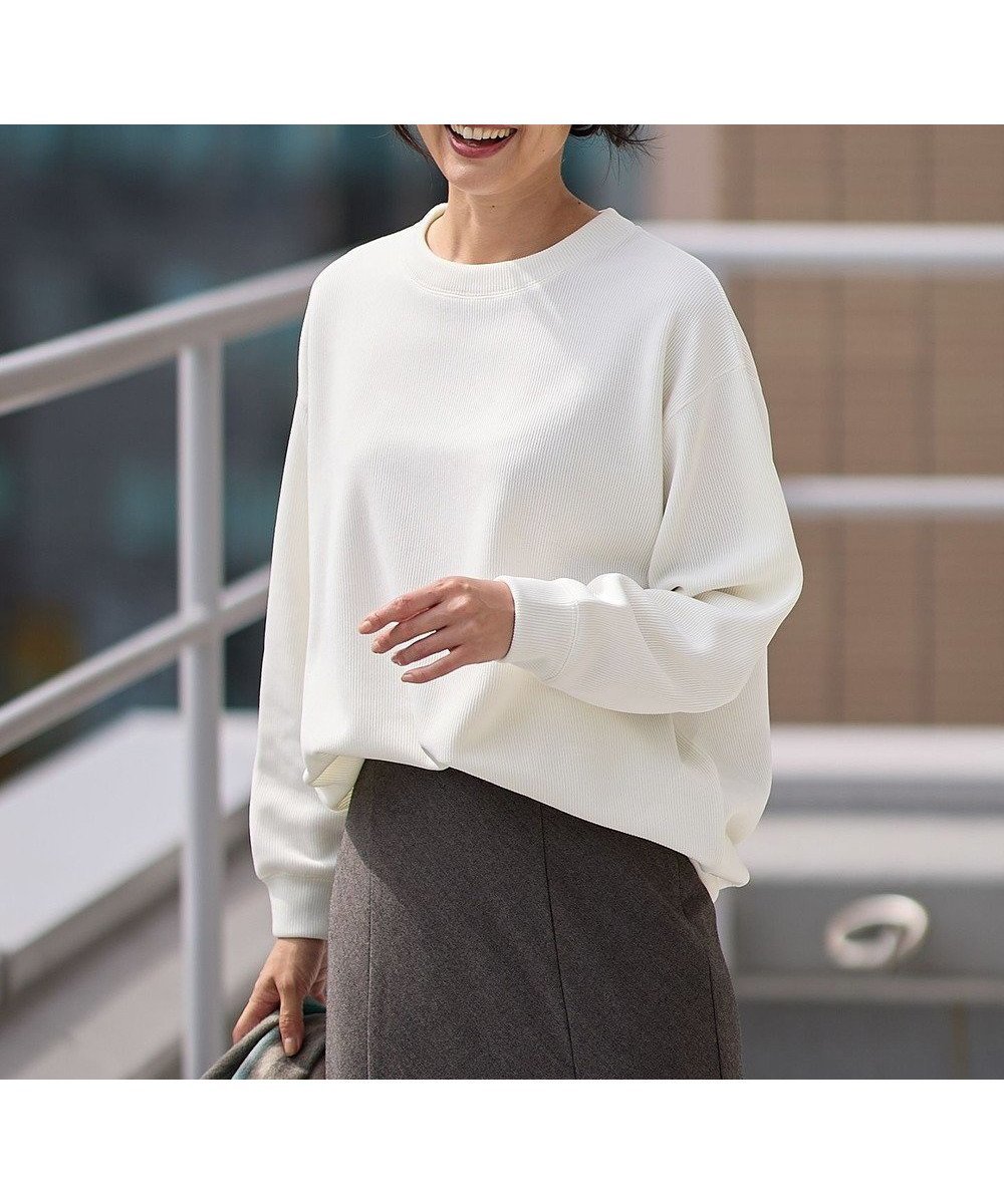 【エニー/ANY】のダブルフェイスジャージープルオーバー インテリア・キッズ・メンズ・レディースファッション・服の通販 founy(ファニー) 　ファッション　Fashion　レディースファッション　Fashion for Women　トップス・カットソー　Cut & Sew Tops　シャツ・ブラウス・オフィスカジュアル　Elegant Blouses & Button-Ups　ロングTシャツ・Tシャツ　Longline T-Shirts & Tees　カジュアルプルオーバー・ニットトップス　Pullovers & Knit Tops / Casual Pullovers　カットソー・ベーシックTシャツ　Cut-and-Sewn Tops / Stretch Tees & Basics　おすすめ　Recommended / Our Picks　インナー　Innerwear　カットソー　Cut and Sewn Top　シンプル　Simple, Minimal　ジャケット　Jacket, Outerwear　ダブル　Double, Double-Breasted　フェイス　Face, Facial Design　切替　Switching, Contrast Panel　洗える　Machine Washable　A/W・秋冬　Autumn/Winter　エクリュ|ID: prp329100004867086 ipo3291000000036254934