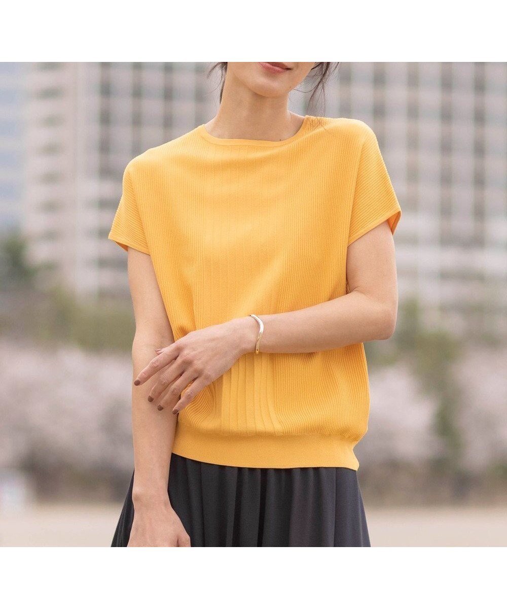 【ジェイ プレス/J.PRESS】の【洗える】レーヨンエリートストレッチ フレンチスリーブ ニット 人気、トレンドファッション・服の通販 founy(ファニー) 　ファッション　Fashion　レディースファッション　Fashion for Women　トップス・カットソー　Cut & Sew Tops　ニット　Knit Tops & Sweaters　インナー　Innerwear　オレンジ　Orange　春　Spring　洗える　Machine Washable　ストレッチ　Stretch, Stretchy Fabric　スリーブ　Sleeve, Long Sleeve / Short Sleeve　スーツ　Suit, Formalwear　セーター　Sweater, Knitwear　フェミニン　Feminine, Girly　フランス　France, French　フレンチ　French, French Style　ベーシック　Basic, Essential　ラウンド　Round, Round Neck　S/S・春夏　SS, Spring/Summer, Warm Season　おすすめ　Recommended / Our Picks　夏　Summer　エレガント 上品　Elegant　 other-1|ID: prp329100004867182 ipo3291000000036255836