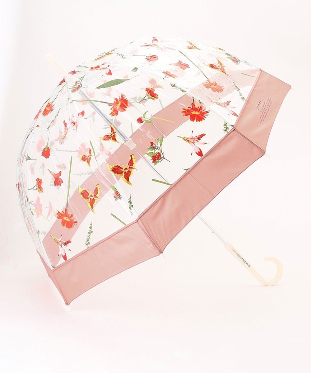 【エニィ スィス/any SiS】の【WEB・一部店舗限定】フラワープラスティック アンブレラ 人気、トレンドファッション・服の通販 founy(ファニー) 　ファッション　Fashion　レディースファッション　Fashion for Women　レイングッズ・傘・晴雨兼用傘　Umbrellas & Rain Gear　グラス　Glass, Eyewear　フラワー　Flower, Floral　プリント　Print, Printed Pattern　エレガント 上品　Elegant　傘　Umbrella, Parasol　新作・新入荷　New Arrivals / New In　 other-1|ID: prp329100004867783 ipo3291000000036262910
