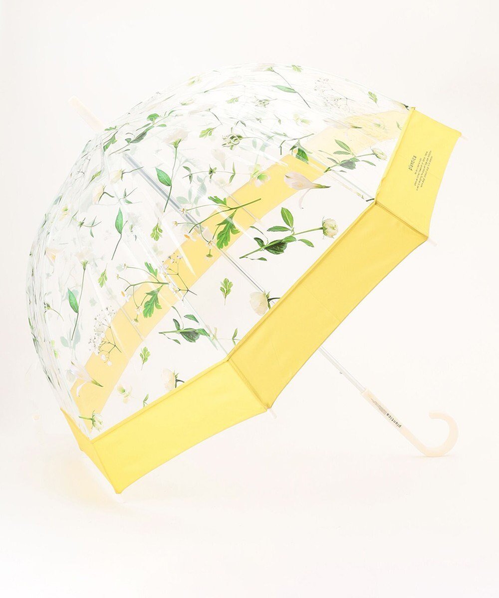【エニィ スィス/any SiS】の【WEB・一部店舗限定】フラワープラスティック アンブレラ インテリア・キッズ・メンズ・レディースファッション・服の通販 founy(ファニー) 　ファッション　Fashion　レディースファッション　Fashion for Women　レイングッズ・傘・晴雨兼用傘　Umbrellas & Rain Gear　グラス　Glass, Eyewear　フラワー　Flower, Floral　プリント　Print, Printed Pattern　エレガント 上品　Elegant　傘　Umbrella, Parasol　新作・新入荷　New Arrivals / New In　イエロー|ID: prp329100004867783 ipo3291000000036262913