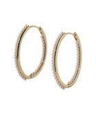 【グリーンパークス/Green Parks】のパールラインワンタッチピアス 人気、トレンドファッション・服の通販 founy(ファニー) ファッション Fashion レディースファッション Fashion for Women アクセサリー Fashion Accessories シンプル Simple, Minimal パール Pearl, Pearl Accent フープ Hoop, Hoop Earrings エレガント 上品 Elegant ビジネス 仕事 通勤 Business / Work / Commuting thumbnail Gold|ID: prp329100004868509 ipo3291000000036278666