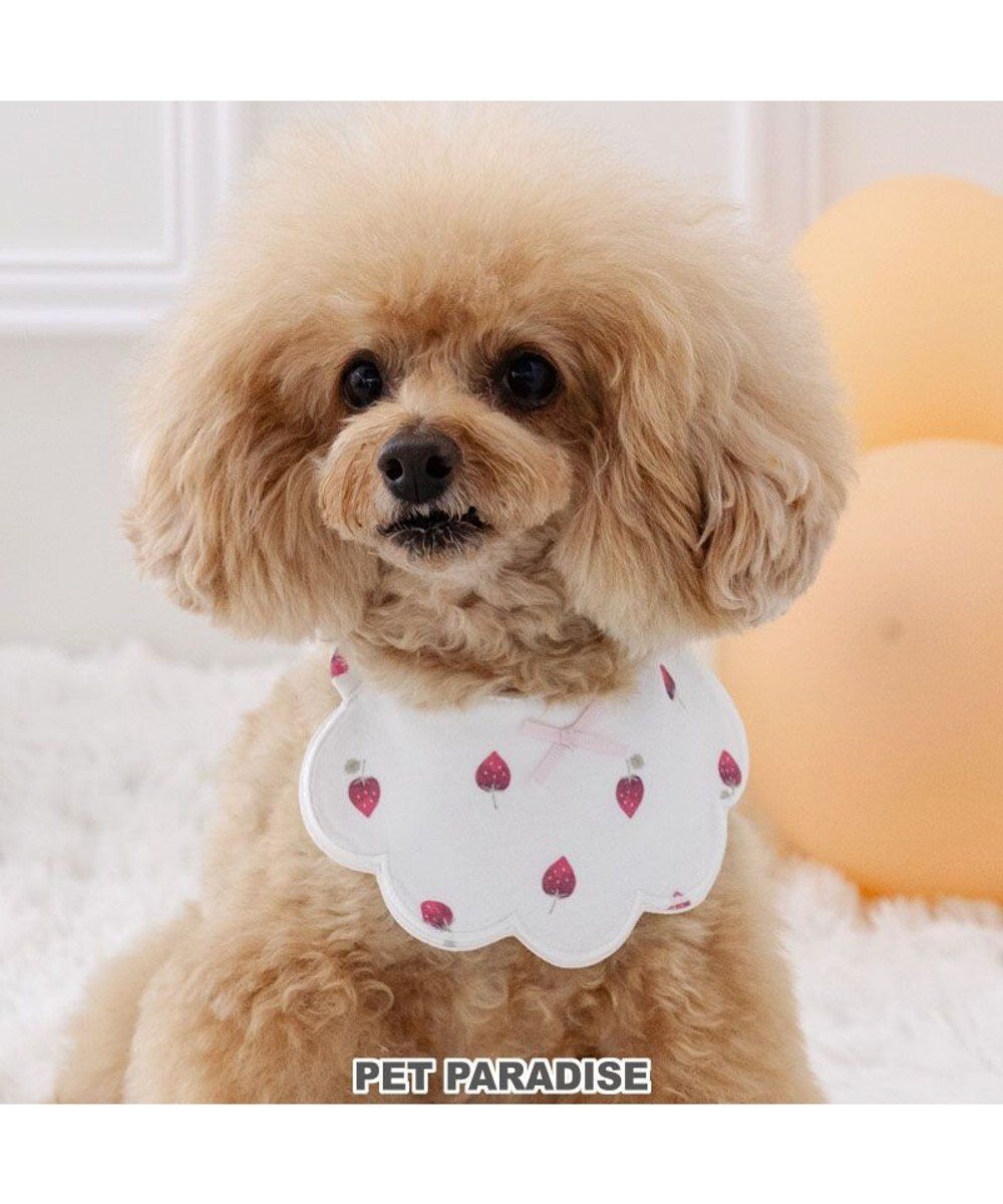 【ペットパラダイス/PET PARADISE / GOODS】のペットパラダイス 苺くるくるスタイ 小型犬 インテリア・キッズ・メンズ・レディースファッション・服の通販 founy(ファニー) 　夏　Summer　春　Spring　S/S・春夏　SS, Spring/Summer, Warm Season　犬　Dog　ホーム・キャンプ・アウトドア・お取り寄せ　Home Living / Home & Lifestyle / Camping Gear / Outdoor Camping　ペットグッズ　Pet Supplies　ホワイト|ID: prp329100004868538 ipo3291000000036278815