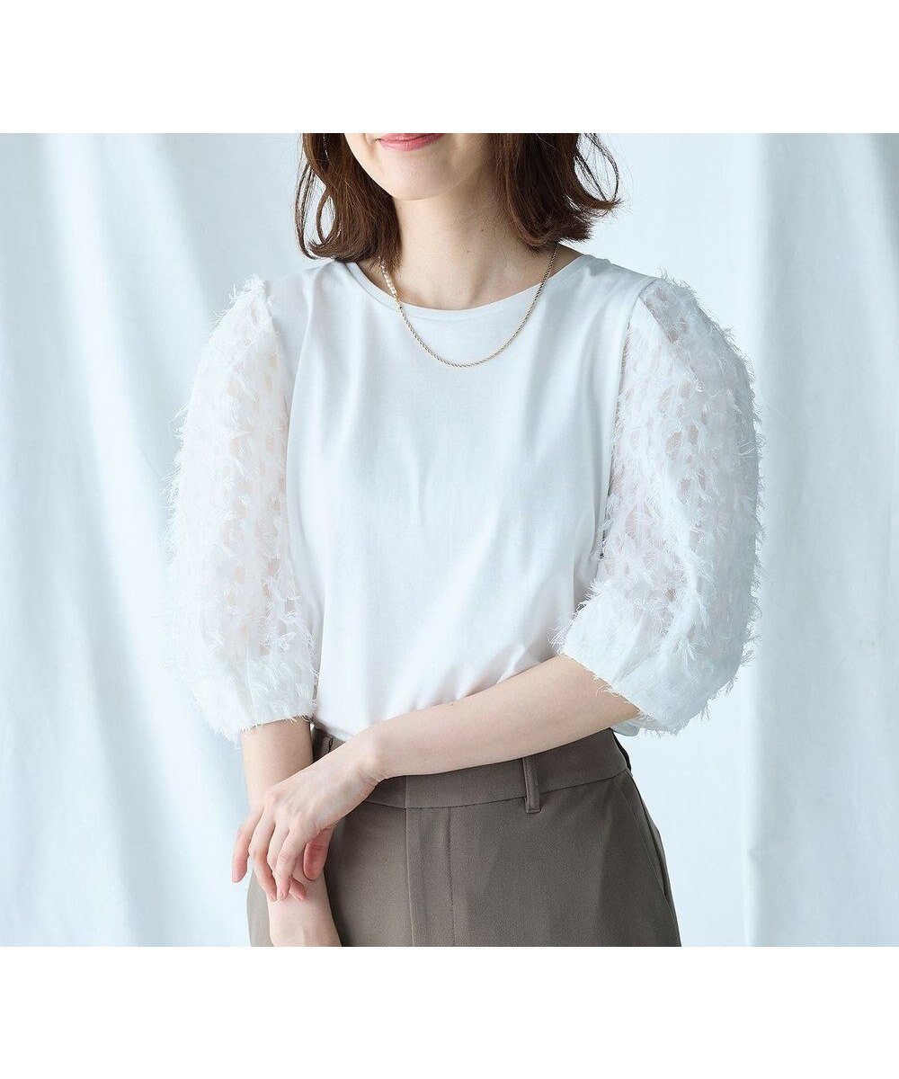 【エニー/ANY】のシルケットスムースジャガードスリーブプルオーバー インテリア・キッズ・メンズ・レディースファッション・服の通販 founy(ファニー) 　ファッション　Fashion　レディースファッション　Fashion for Women　トップス・カットソー　Cut & Sew Tops　シャツ・ブラウス・オフィスカジュアル　Elegant Blouses & Button-Ups　ロングTシャツ・Tシャツ　Longline T-Shirts & Tees　カジュアルプルオーバー・ニットトップス　Pullovers & Knit Tops / Casual Pullovers　カットソー・ベーシックTシャツ　Cut-and-Sewn Tops / Stretch Tees & Basics　おすすめ　Recommended / Our Picks　インナー　Innerwear　カットソー　Cut and Sewn Top　シンプル　Simple, Minimal　スラックス　Slacks, Dress Pants　スリット　Slit, Slit Detail　デニム　Denim, Jeans Material　トレンド　Trend, Trending Now　ベーシック　Basic, Essential　A/W・秋冬　Autumn/Winter　オフ|ID: prp329100004868672 ipo3291000000036280877