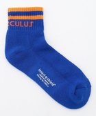 【ピーダブリュサーキュラス/PW CIRCULUS】の【虫よけ加工】【WOMEN】ラインソックス ショート丈 ゴルフウェア レディース 人気、トレンドファッション・服の通販 founy(ファニー) ファッション Fashion レディースファッション Fashion for Women ソックス&靴下 Socks & Hosiery レッグウェア・ストッキング Legwear & Hosiery ショート Short, Short Length シンプル Simple, Minimal ソックス Socks, Hosiery 人気 Popular, Best Seller フィット Fit, Slim Fit ランニング Running, Running Wear, Activewear, Jogging おすすめ Recommended / Our Picks 夏 Summer ゴルフ Golf 2026年 2026 thumbnail スカイブルー系|ID: prp329100004868793 ipo3291000000036281954