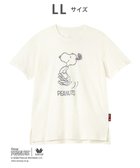 【ワコール/WACOAL】のPEANUTS トップス 4分袖 Tシャツ 綿100%(本体) スヌーピー レディース FTT168 /ワコール アイボリー|ID: prp329100004870073 ipo3291000000036296104