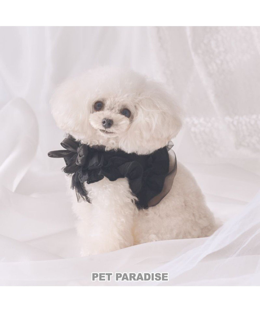 【ペットパラダイス/PET PARADISE / GOODS】のcherircouture フリフリハーネス 《ブラック》 小型犬 S 人気、トレンドファッション・服の通販 founy(ファニー) フリル Frill, Ruffle 犬 Dog ホーム・キャンプ・アウトドア・お取り寄せ Home Living / Home & Lifestyle / Camping Gear / Outdoor Camping ペットグッズ Pet Supplies other-1|ID: prp329100004871650 ipo3291000000036322378