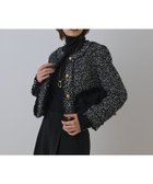 【グレース コンチネンタル/GRACE CONTINENTAL】のツイードコンビジャケット 人気、トレンドファッション・服の通販 founy(ファニー) ファッション Fashion レディースファッション Fashion for Women アウター Coat / Outerwear Collection レディースジャケット・軽アウター Jackets ノーカラージャケット / シンプル上品コーデ Collarless Jackets エレガント 上品 Elegant ジャケット Jacket, Outerwear スマート Smart, Elegant ツイード Twill, Twill Weave フロント Front, Front Design ポケット Pocket, Pocket Detail メタル Metal, Metal Parts ラグジュアリー Luxury, Elegant 定番 Standard, Basic Item A/W・秋冬 Autumn/Winter thumbnail ブラック|ID: prp329100004871815 ipo3291000000036323071