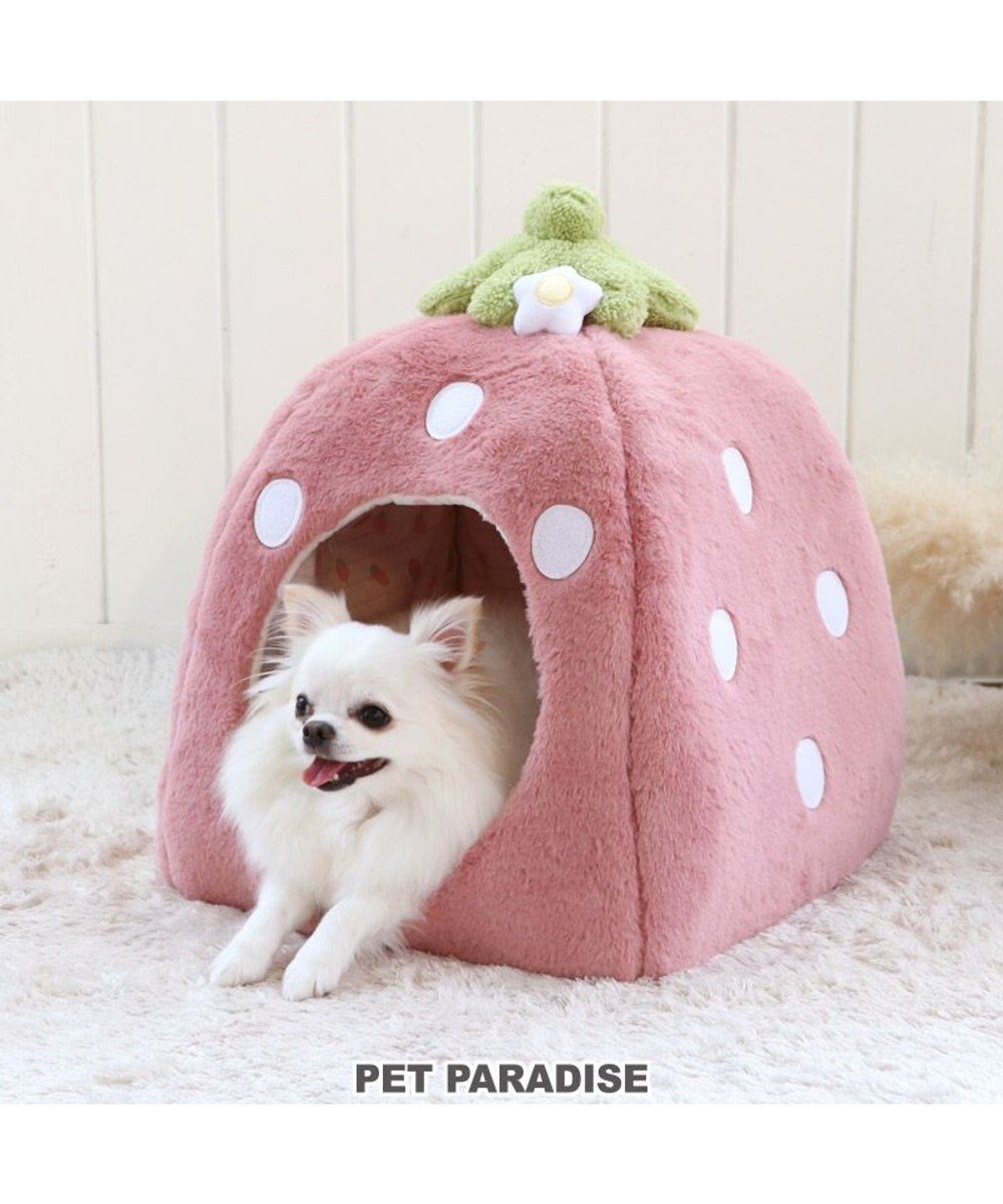 【ペットパラダイス/PET PARADISE / GOODS】のペットパラダイス くすみ苺 ハウス M (38×38×40cm) 超小型犬 人気、トレンドファッション・服の通販 founy(ファニー) 　クッション　Cushion, Throw Pillow　猫　Cat, Kitty　A/W・秋冬　Autumn/Winter　犬　Dog　ギフト プレゼント　Gift / Present　ホーム・キャンプ・アウトドア・お取り寄せ　Home Living / Home & Lifestyle / Camping Gear / Outdoor Camping　ペットグッズ　Pet Supplies　 other-1|ID: prp329100004871955 ipo3291000000036326673