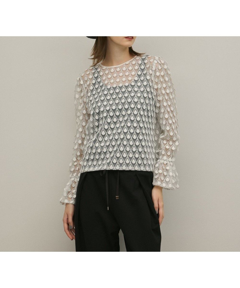 【グレース コンチネンタル/GRACE CONTINENTAL】のモチーフチュールブラウス 人気、トレンドファッション・服の通販 founy(ファニー) ファッション Fashion レディースファッション Fashion for Women トップス・カットソー Cut & Sew Tops シャツ・ブラウス・オフィスカジュアル Elegant Blouses & Button-Ups チュール Tulip, Tulip Motif モチーフ Motif, Design Theme 夏 Summer 春 Spring S/S・春夏 SS, Spring/Summer, Warm Season other-1|ID: prp329100004872041 ipo3291000000036327139