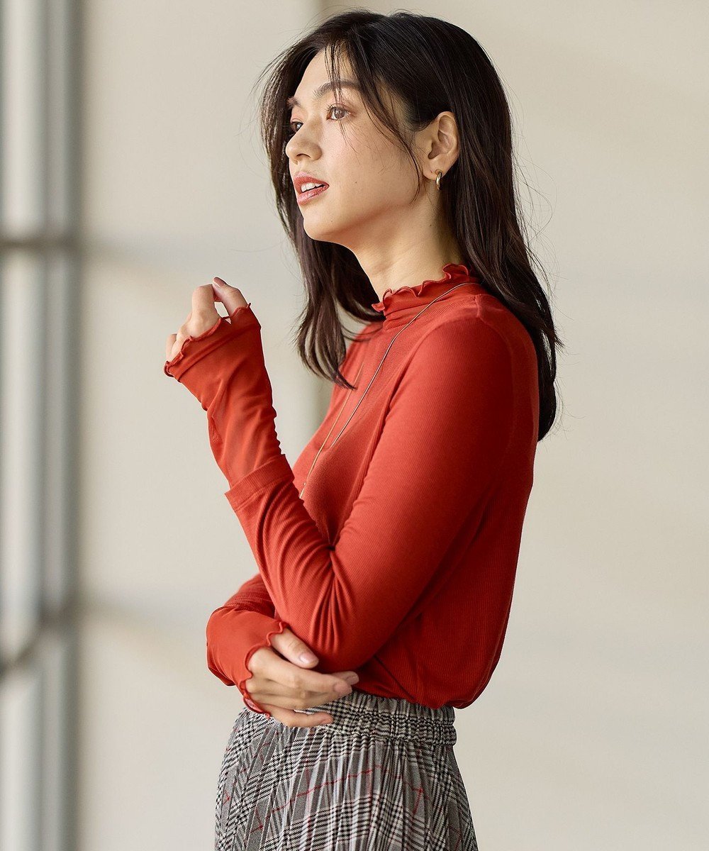 【エニー/ANY】の【新色追加】シアーコンビタートル インテリア・キッズ・メンズ・レディースファッション・服の通販 founy(ファニー) ファッション Fashion レディースファッション Fashion for Women トップス・カットソー Cut & Sew Tops シャツ・ブラウス・オフィスカジュアル Elegant Blouses & Button-Ups ロングTシャツ・Tシャツ Longline T-Shirts & Tees カットソー・ベーシックTシャツ Cut-and-Sewn Tops / Stretch Tees & Basics インナー Innerwear カットソー Cut and Sewn Top シアー Sheer, See-Through シャーリング Shirring, Ruched ストレッチ Stretch, Stretchy Fabric チュール Tulip, Tulip Motif ベーシック Basic, Essential A/W・秋冬 Autumn/Winter おすすめ Recommended / Our Picks オレンジ|ID: prp329100004881224 ipo3291000000036433445