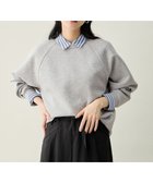 【エニー/ANY】のダンボールバックリブプルオーバー 人気、トレンドファッション・服の通販 founy(ファニー) ファッション Fashion レディースファッション Fashion for Women トップス・カットソー Cut & Sew Tops レディースパーカー・カジュアルフーディー Casual Hoodies & Sweatshirts カジュアルプルオーバー・ニットトップス Pullovers & Knit Tops / Casual Pullovers スウェット・クルーネックトップス Sweatshirts & Crewnecks / Relaxed Fit Sweat Tops インナー Innerwear 春 Spring 切替 Switching, Contrast Panel スウェット / スエット Sweatshirt, Sweatwear ストレッチ Stretch, Stretchy Fabric レース Lace, Lace Fabric S/S・春夏 SS, Spring/Summer, Warm Season おすすめ Recommended / Our Picks 夏 Summer thumbnail ライトグレー|ID: prp329100004889534 ipo3291000000036534471