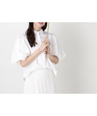 【ムーンバット/MOONBAT】の【遮光/晴雨兼用日傘】POLO RALPH LAUREN(ポロ ラルフローレン) ストライプフリル 折りたたみ傘 楽折 遮熱 UV 人気、トレンドファッション・服の通販 founy(ファニー) ファッション Fashion レディースファッション Fashion for Women レイングッズ・傘・晴雨兼用傘 Umbrellas & Rain Gear アイビー Ivy Pattern ウッド Wooden Design 傘 Umbrella, Parasol ストライプ Stripe, Striped Pattern ニューヨーク New York, NYC Style フリル Frill, Ruffle 日傘 Parasol, UV Umbrella メタル Metal, Metal Parts おすすめ Recommended / Our Picks thumbnail スカイブルー|ID: prp329100004898193 ipo3291000000036642590