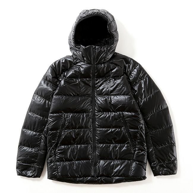 【アークテリクス/ARC'TERYX / MEN】のARC'TERYX アークテリクス セリウムSVフーディ メンズ インテリア・キッズ・メンズ・レディースファッション・服の通販 founy(ファニー) https://founy.com/ ファッション Fashion メンズファッション Fashion for Men メンズ Men's, Menswear |ID: prp329100004711051 ipo3291000000034122757