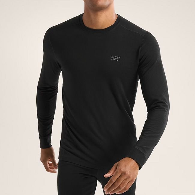 【アークテリクス/ARC'TERYX / MEN】のARC'TERYX アークテリクス ローメリノウールクルーネック メンズ インテリア・キッズ・メンズ・レディースファッション・服の通販 founy(ファニー) https://founy.com/ ファッション Fashion メンズファッション Fashion for Men メンズ Men's, Menswear |ID: prp329100004773060 ipo3291000000034585324