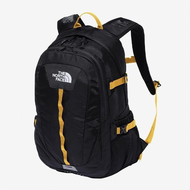 【ザ ノース フェイス/THE NORTH FACE】のTHE NORTH FACE ノースフェイス ホットショット 人気、トレンドファッション・服の通販 founy(ファニー) ファッション Fashion レディースファッション Fashion for Women ショルダー Shoulder, Shoulder Strap パープル Purple, Violet フェイス Face, Facial Design フロント Front, Front Design ポケット Pocket, Pocket Detail メッシュ Mesh, Net Fabric other-1|ID: prp329100004782810 ipo3291000000034707391