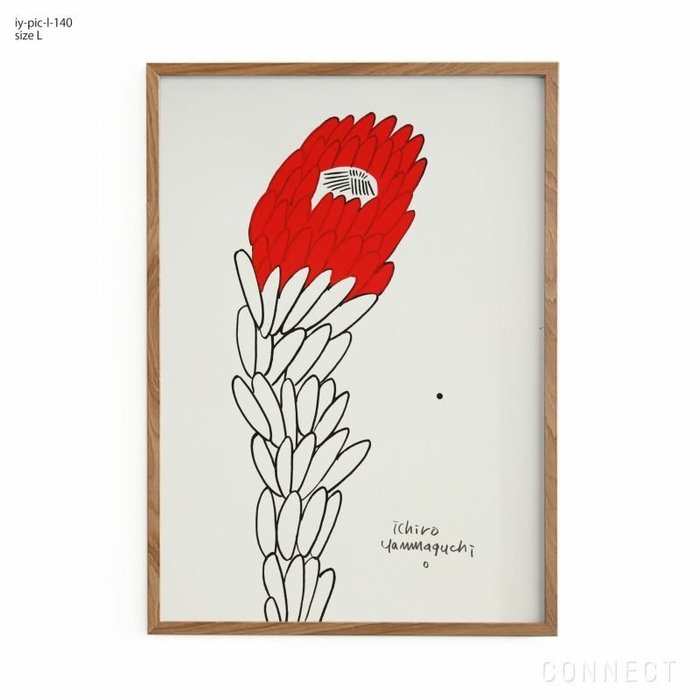 【山口一郎/Ichiro Yamaguchi / GOODS】の[販売終了]山口一郎/Lサイズ/プロテア/iy-pic-l-140 インテリア・キッズ・メンズ・レディースファッション・服の通販 founy(ファニー) https://founy.com/ ホーム・キャンプ・アウトドア・お取り寄せ Home,Garden,Outdoor,Camping Gear 家具・インテリア Furniture その他 インテリア雑貨、家具 Furniture, Interior, Others |ID: prp329100004466268 ipo3291000000031344399
