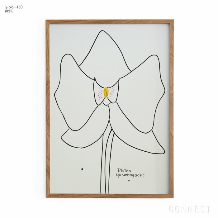 【山口一郎/Ichiro Yamaguchi / GOODS】の[販売終了]山口一郎/Lサイズ/蘭/iy-pic-l-150 インテリア・キッズ・メンズ・レディースファッション・服の通販 founy(ファニー) https://founy.com/ ホーム・キャンプ・アウトドア・お取り寄せ Home Living / Home & Lifestyle / Camping Gear / Outdoor Camping 家具・インテリア Home Furniture & Interior. Stylish & Functional Living Spaces その他 インテリア雑貨、家具 Home Decor & Furniture Extras |ID: prp329100004466280 ipo3291000000035330908