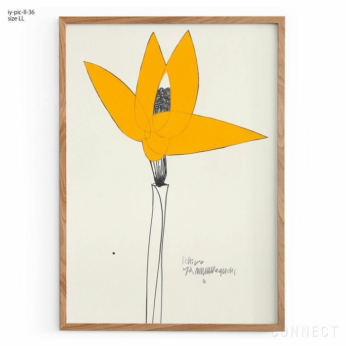 【山口一郎/Ichiro Yamaguchi / GOODS】の[販売終了]山口一郎/LLサイズ/花/iy-pic-ll-36 インテリア・キッズ・メンズ・レディースファッション・服の通販 founy(ファニー) https://founy.com/ ホーム・キャンプ・アウトドア・お取り寄せ Home Living / Home & Lifestyle / Camping Gear / Outdoor Camping 家具・インテリア Home Furniture & Interior. Stylish & Functional Living Spaces その他 インテリア雑貨、家具 Home Decor & Furniture Extras |ID: prp329100004469927 ipo3291000000035765356