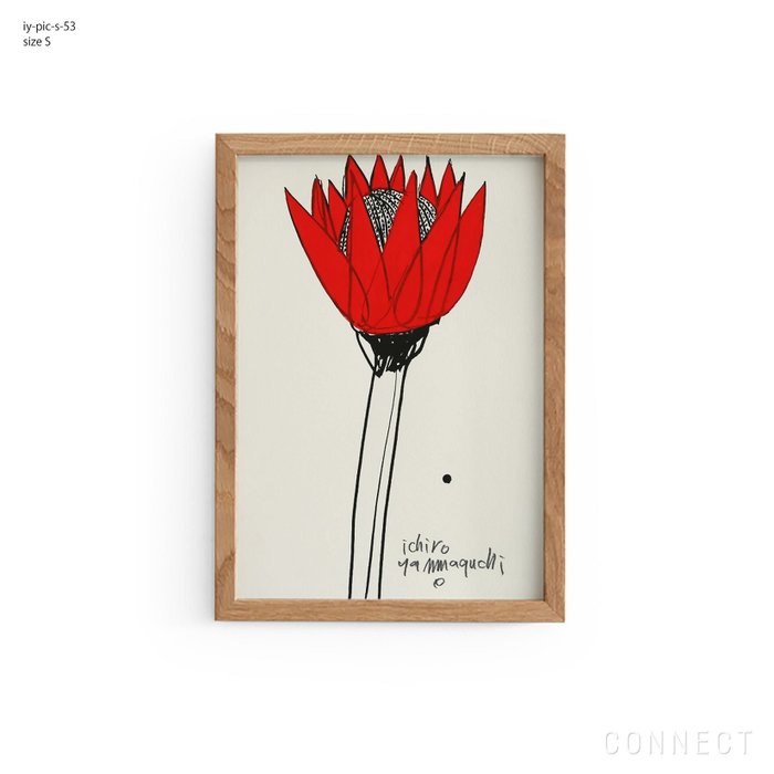 【その他のブランド/Other】の[販売終了]山口一郎/Sサイズ/花/iy-pic-s-53 インテリア・キッズ・メンズ・レディースファッション・服の通販 founy(ファニー) https://founy.com/ ホーム・キャンプ・アウトドア・お取り寄せ Home Living / Home & Lifestyle / Camping Gear / Outdoor Camping 家具・インテリア Home Furniture & Interior. Stylish & Functional Living Spaces その他 インテリア雑貨、家具 Home Decor & Furniture Extras |ID: prp329100004470037 ipo3291000000035407960