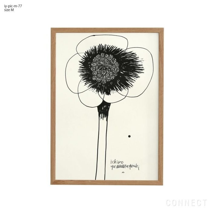 【山口一郎/Ichiro Yamaguchi / GOODS】の[販売終了]山口一郎/Mサイズ/花/iy-pic-m-77 インテリア・キッズ・メンズ・レディースファッション・服の通販 founy(ファニー) https://founy.com/ ホーム・キャンプ・アウトドア・お取り寄せ Home,Garden,Outdoor,Camping Gear 家具・インテリア Furniture その他 インテリア雑貨、家具 Furniture, Interior, Others |ID: prp329100004470080 ipo3291000000031432144