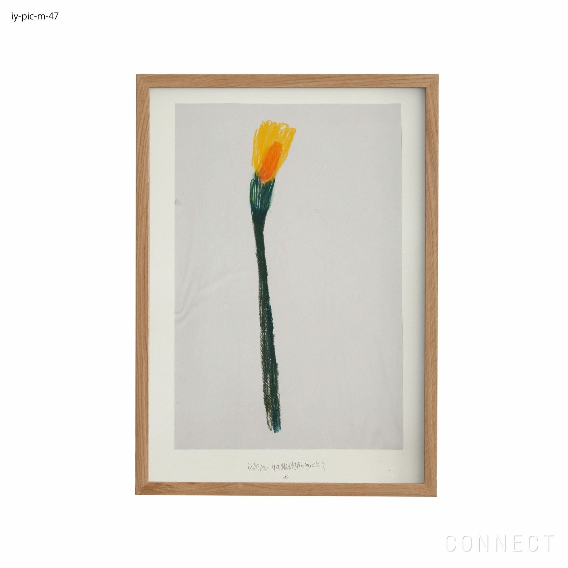 【山口一郎/Ichiro Yamaguchi / GOODS】の[販売終了]山口一郎/Mサイズ/花/iy-pic-m-47 人気、トレンドファッション・服の通販 founy(ファニー) 　ホーム・キャンプ・アウトドア・お取り寄せ　Home Living / Home & Lifestyle / Camping Gear / Outdoor Camping　家具・インテリア　Home Furniture & Interior. Stylish & Functional Living Spaces　その他 インテリア雑貨、家具　Home Decor & Furniture Extras　 other-1|ID: prp329100004470094 ipo3291000000035408040