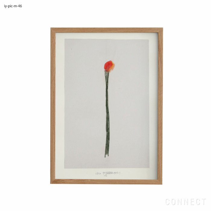 【山口一郎/Ichiro Yamaguchi / GOODS】の[販売終了]山口一郎/Mサイズ/花/iy-pic-m-46 インテリア・キッズ・メンズ・レディースファッション・服の通販 founy(ファニー) https://founy.com/ ホーム・キャンプ・アウトドア・お取り寄せ Home Living / Home & Lifestyle / Camping Gear / Outdoor Camping 家具・インテリア Home Furniture & Interior. Stylish & Functional Living Spaces その他 インテリア雑貨、家具 Home Decor & Furniture Extras |ID: prp329100004470095 ipo3291000000035408041