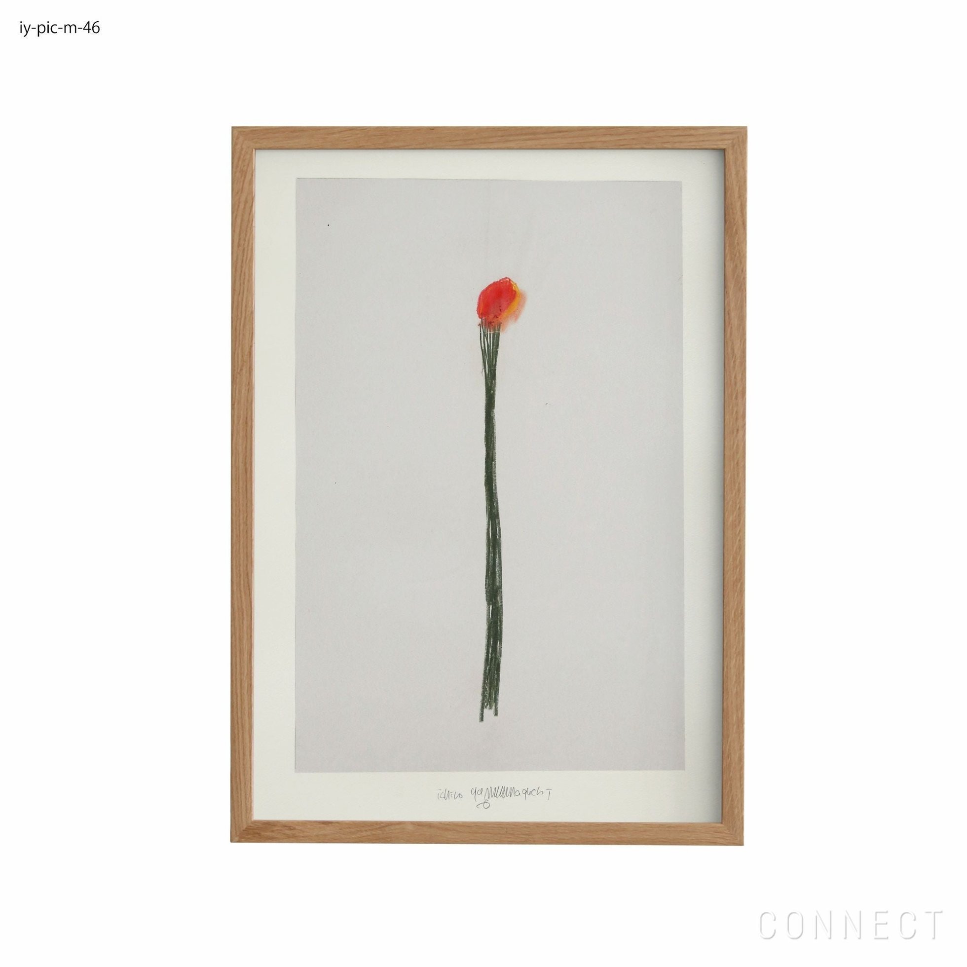 【山口一郎/Ichiro Yamaguchi / GOODS】の[販売終了]山口一郎/Mサイズ/花/iy-pic-m-46 人気、トレンドファッション・服の通販 founy(ファニー) 　ホーム・キャンプ・アウトドア・お取り寄せ　Home Living / Home & Lifestyle / Camping Gear / Outdoor Camping　家具・インテリア　Home Furniture & Interior. Stylish & Functional Living Spaces　その他 インテリア雑貨、家具　Home Decor & Furniture Extras　 other-1|ID: prp329100004470095 ipo3291000000035408041