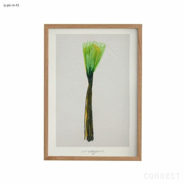 【山口一郎/Ichiro Yamaguchi / GOODS】の[販売終了]山口一郎/Mサイズ/花/iy-pic-m-43 インテリア・キッズ・メンズ・レディースファッション・服の通販 founy(ファニー) https://founy.com/ ホーム・キャンプ・アウトドア・お取り寄せ Home,Garden,Outdoor,Camping Gear 家具・インテリア Furniture その他 インテリア雑貨、家具 Furniture, Interior, Others |ID: prp329100004470097 ipo3291000000031432197