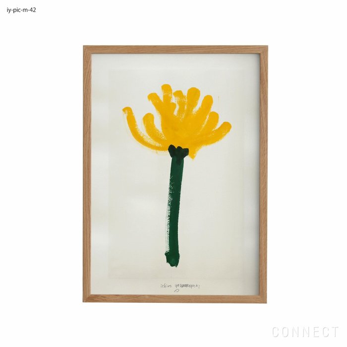 【山口一郎/Ichiro Yamaguchi / GOODS】の[販売終了]山口一郎/Mサイズ/花/iy-pic-m-42 インテリア・キッズ・メンズ・レディースファッション・服の通販 founy(ファニー) https://founy.com/ ホーム・キャンプ・アウトドア・お取り寄せ Home Living / Home & Lifestyle / Camping Gear / Outdoor Camping 家具・インテリア Home Furniture & Interior. Stylish & Functional Living Spaces その他 インテリア雑貨、家具 Home Decor & Furniture Extras |ID: prp329100004470098 ipo3291000000035408042