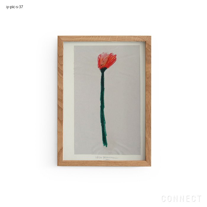 【その他のブランド/Other】の[販売終了]山口一郎/Sサイズ/花/iy-pic-s-37 インテリア・キッズ・メンズ・レディースファッション・服の通販 founy(ファニー) https://founy.com/ ホーム・キャンプ・アウトドア・お取り寄せ Home Living / Home & Lifestyle / Camping Gear / Outdoor Camping 家具・インテリア Home Furniture & Interior. Stylish & Functional Living Spaces その他 インテリア雑貨、家具 Home Decor & Furniture Extras |ID: prp329100004470114 ipo3291000000035406344