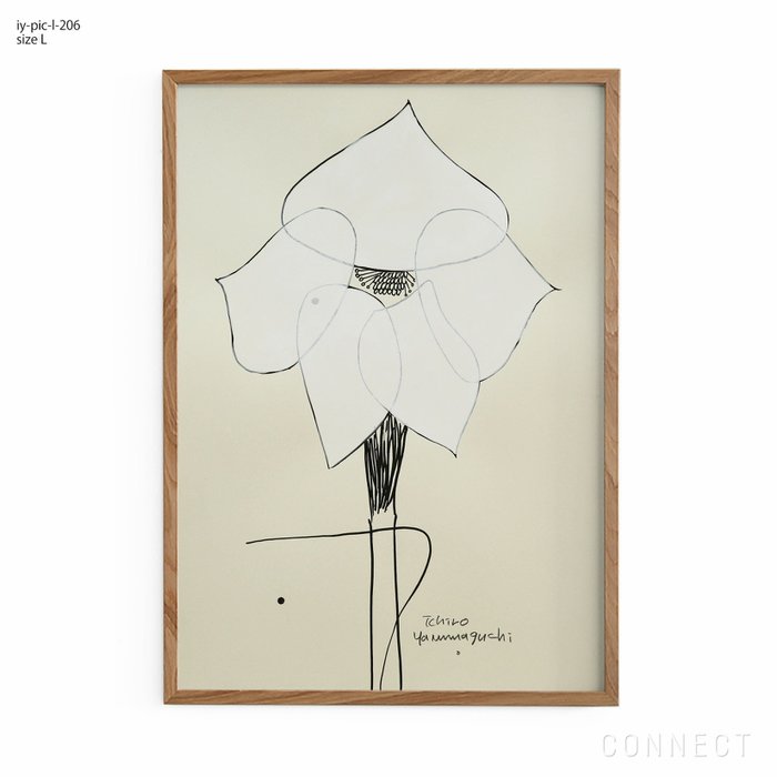 【山口一郎/Ichiro Yamaguchi / GOODS】の[販売終了]山口一郎/Lサイズ/クリスマスローズ/iy-pic-l-206 インテリア・キッズ・メンズ・レディースファッション・服の通販 founy(ファニー) https://founy.com/ クリスマス X'mas Christmas / X'mas ローズ Rose, Rose Motif ホーム・キャンプ・アウトドア・お取り寄せ Home Living / Home & Lifestyle / Camping Gear / Outdoor Camping 家具・インテリア Home Furniture & Interior. Stylish & Functional Living Spaces その他 インテリア雑貨、家具 Home Decor & Furniture Extras |ID: prp329100004470160 ipo3291000000035428131