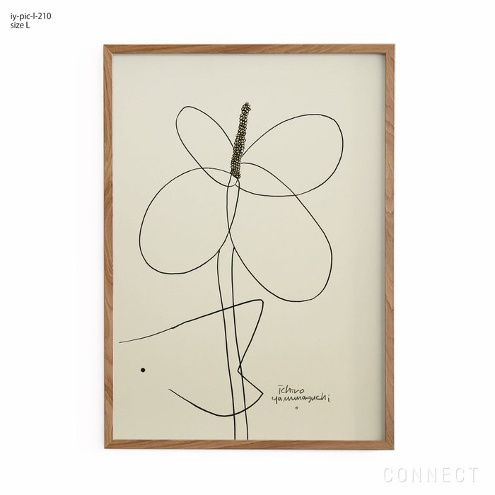 【山口一郎/Ichiro Yamaguchi / GOODS】の[販売終了]山口一郎/Lサイズ/ドクダミ/iy-pic-l-210 インテリア・キッズ・メンズ・レディースファッション・服の通販 founy(ファニー) https://founy.com/ ホーム・キャンプ・アウトドア・お取り寄せ Home Living / Home & Lifestyle / Camping Gear / Outdoor Camping 家具・インテリア Home Furniture & Interior. Stylish & Functional Living Spaces その他 インテリア雑貨、家具 Home Decor & Furniture Extras |ID: prp329100004470164 ipo3291000000035700010