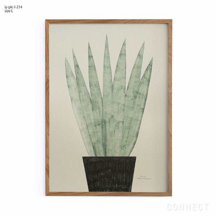 【山口一郎/Ichiro Yamaguchi / GOODS】の[販売終了]山口一郎/Lサイズ/ユッカロストラータ/iy-pic-l-214 インテリア・キッズ・メンズ・レディースファッション・服の通販 founy(ファニー) https://founy.com/ ホーム・キャンプ・アウトドア・お取り寄せ Home Living / Home & Lifestyle / Camping Gear / Outdoor Camping 家具・インテリア Home Furniture & Interior. Stylish & Functional Living Spaces その他 インテリア雑貨、家具 Home Decor & Furniture Extras |ID: prp329100004470168 ipo3291000000035428175