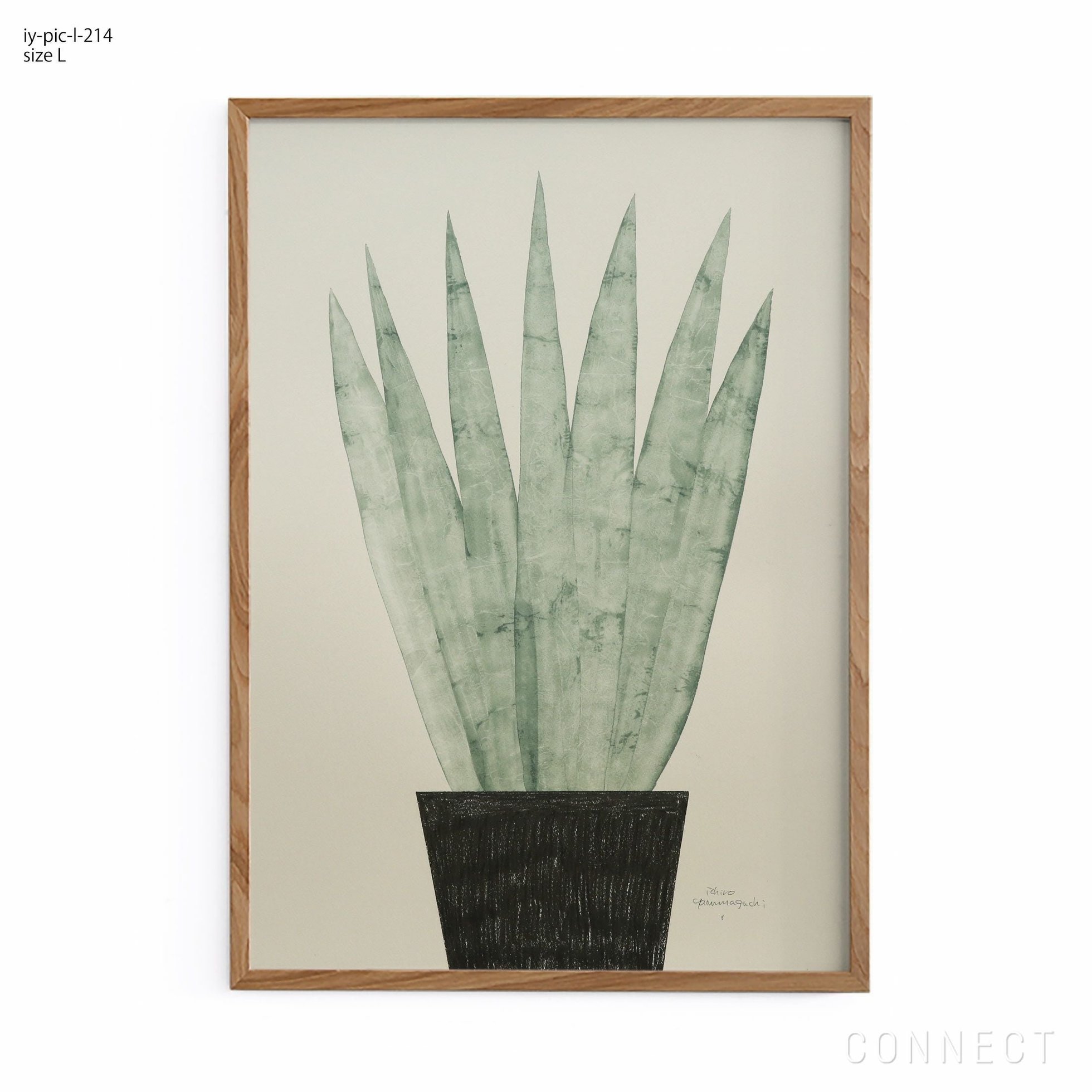 【山口一郎/Ichiro Yamaguchi / GOODS】の[販売終了]山口一郎/Lサイズ/ユッカロストラータ/iy-pic-l-214 人気、トレンドファッション・服の通販 founy(ファニー) 　ホーム・キャンプ・アウトドア・お取り寄せ　Home Living / Home & Lifestyle / Camping Gear / Outdoor Camping　家具・インテリア　Home Furniture & Interior. Stylish & Functional Living Spaces　その他 インテリア雑貨、家具　Home Decor & Furniture Extras　 other-1|ID: prp329100004470168 ipo3291000000035428175