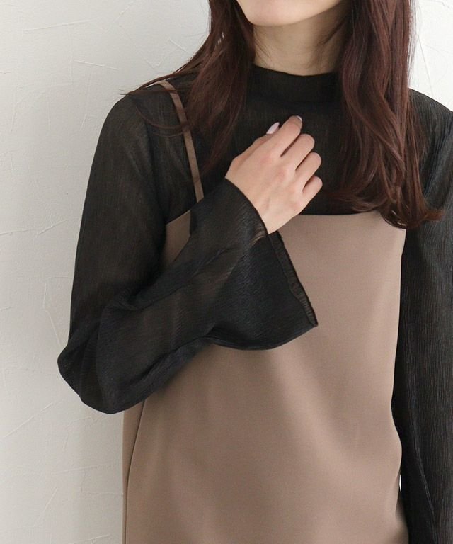 【ピエロ/Pierrot】のネックと柄が選べるフレアスリーブシアーカットソー インテリア・キッズ・メンズ・レディースファッション・服の通販 founy(ファニー) 　ファッション　Fashion　レディースファッション　Fashion for Women　トップス・カットソー　Cut & Sew Tops　カットソー・ベーシックTシャツ　Cut-and-Sewn Tops / Stretch Tees & Basics　シアー　Sheer, See-Through　ドット　Polka Dot, Dot Pattern　ハイネック　High Neck, Mock Neck　プチプライス・低価格　Affordable / Budget Price　ロング　Long, Long-Length　163cm / 楊柳 / ブラック / ハイネック / M|ID: prp329100004378422 ipo3291000000035623170