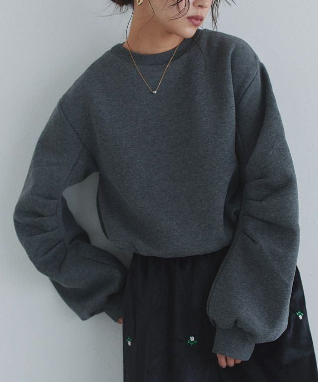 【ピエロ/Pierrot】のECLAM 裏起毛タックスリーブプルオーバー インテリア・キッズ・メンズ・レディースファッション・服の通販 founy(ファニー) 　ファッション　Fashion　レディースファッション　Fashion for Women　トップス・カットソー　Cut & Sew Tops　カジュアルプルオーバー・ニットトップス　Pullovers & Knit Tops / Casual Pullovers　送料無料　Free Shipping　クロップド　Cropped, Short Length　ショート　Short, Short Length　シンプル　Simple, Minimal　スリーブ　Sleeve, Long Sleeve / Short Sleeve　トレンド　Trend, Trending Now　バランス　Balance, Style Balance　プチプライス・低価格　Affordable / Budget Price　A/W・秋冬　Autumn/Winter　163cm / チャコール / M|ID: prp329100004740306 ipo3291000000034244112