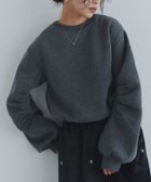 【ピエロ/Pierrot】のECLAM 裏起毛タックスリーブプルオーバー 人気、トレンドファッション・服の通販 founy(ファニー) ファッション Fashion レディースファッション Fashion for Women トップス・カットソー Cut & Sew Tops カジュアルプルオーバー・ニットトップス Pullovers & Knit Tops / Casual Pullovers クロップド Cropped, Short Length ショート Short, Short Length シンプル Simple, Minimal スリーブ Sleeve, Long Sleeve / Short Sleeve トレンド Trend, Trending Now バランス Balance, Style Balance プチプライス・低価格 Affordable / Budget Price A/W・秋冬 Autumn/Winter thumbnail 163cm / チャコール / M|ID: prp329100004740306 ipo3291000000034837007