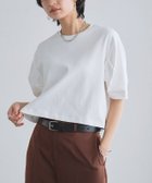 【ピエロ/Pierrot】のRASW コーマコットンボリュームハーフスリーブTシャツ [RASW]コーマコットンボリュームハーフスリーブTシャツ|ID: prp329100004926219 ipo3291000000037288979