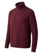 【ドゥクラッセ/DoCLASSE / MEN】のローゲージタートル ボルドー|ID: prp329100003117820 ipo3291000000035798453