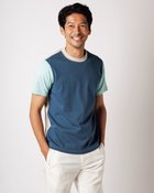 【ドゥクラッセ/DoCLASSE / MEN】のカラーブロッキング半袖・ドゥクラッセT 人気、トレンドファッション・服の通販 founy(ファニー) ファッション Fashion メンズファッション MEN トップス・カットソー Tops/Tshirt/Men シャツ Shirts ポロシャツ Polo Shirts ゴルフ Golf シルケット Mercerization ブロッキング Blocking ブロック Block メンズ Mens モックネック Mock Neck エレガント 上品 Elegant 半袖 Short Sleeve thumbnail ネイビーパターン|ID: prp329100003359537 ipo3291000000028261135