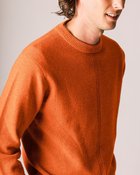 【ドゥクラッセ/DoCLASSE / MEN】のラネロッシ・プレミアム ラムクルーセーター 人気、トレンドファッション・服の通販 founy(ファニー) ファッション Fashion メンズファッション MEN シェイプ Shape センター Center セーター Sweater フロント Front メンズ Mens thumbnail ダルオレンジ|ID: prp329100003696823 ipo3291000000024310618