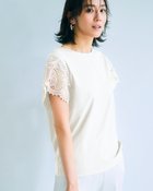 【ドゥクラッセ/DoCLASSE】の鹿の子カットソー・レース袖ブラウス 人気、トレンドファッション・服の通販 founy(ファニー) ファッション Fashion レディースファッション Fashion for Women トップス・カットソー Cut & Sew Tops シャツ・ブラウス・オフィスカジュアル Elegant Blouses & Button-Ups ロングTシャツ・Tシャツ Longline T-Shirts & Tees カットソー・ベーシックTシャツ Cut-and-Sewn Tops / Stretch Tees & Basics 新作・新入荷 New Arrivals / New In エレガント 上品 Elegant カットソー Cut and Sewn Top レース Lace, Lace Fabric 鹿の子 Piqué, Kanoko Fabric thumbnail オフホワイト|ID: prp329100004600875 ipo3291000000032711113