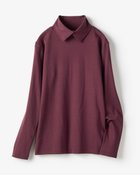 【ドゥクラッセ/DoCLASSE】の超長綿・衿付きハイネックカットソー ボルドー|ID: prp329100004665742 ipo3291000000034007073