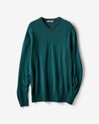 【ドゥクラッセ/DoCLASSE / MEN】のウォームキープVネックセーター グリーン|ID: prp329100004826468 ipo3291000000035117361