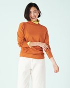 【ドゥクラッセ/DoCLASSE】のシルクフィール・配色スリットタートル テラコッタ|ID: prp329100004848142 ipo3291000000035431979