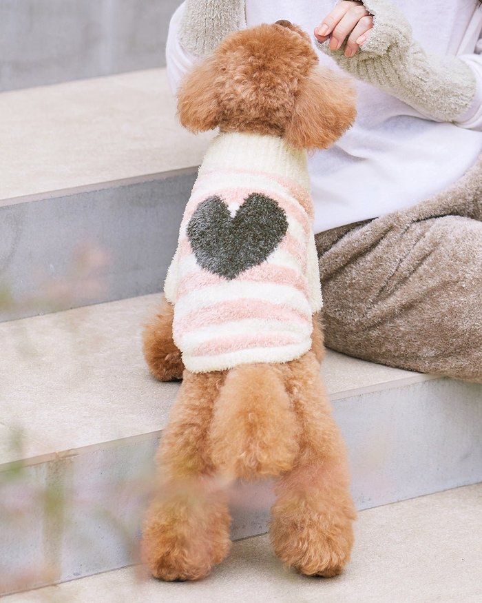 【ヌックル/Nukle】のNukle・テディドッグウェア/ボーダー インテリア・キッズ・メンズ・レディースファッション・服の通販 founy(ファニー) https://founy.com/ ファッション Fashion レディースファッション Fashion for Women ソックス&靴下 Socks & Hosiery セーター Sweater, Knitwear ソックス Socks, Hosiery ダブル Double, Double-Breasted ボーダー Border, Stripe 防寒 Cold Protection, Winter-Ready ミックス Mix, Mixed Style 冬 Winter / This Winter 犬 Dog |ID: prp329100004934344 ipo3291000000037033697