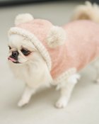 【ヌックル/Nukle】のNukle・テディドッグウェア/フーディ 人気、トレンドファッション・服の通販 founy(ファニー) ファッション Fashion レディースファッション Fashion for Women ソックス&靴下 Socks & Hosiery ソックス Socks, Hosiery ダブル Double, Double-Breasted ポンポン Pom-Pom, Fluffy Ball 防寒 Cold Protection, Winter-Ready 冬 Winter / This Winter 犬 Dog thumbnail ライトピンク|ID: prp329100004938378 ipo3291000000037057486