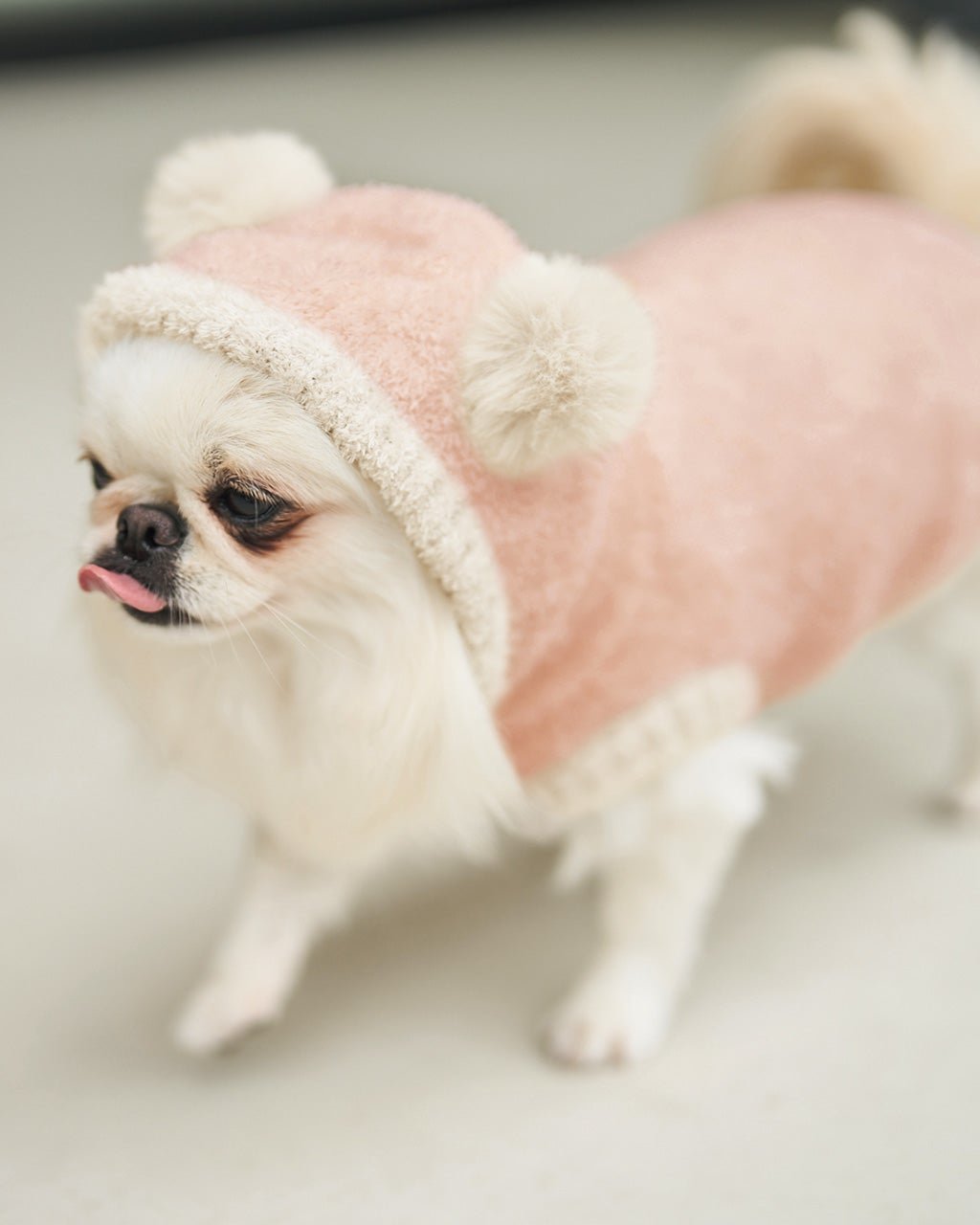 【ヌックル/Nukle】のNukle・テディドッグウェア/フーディ インテリア・キッズ・メンズ・レディースファッション・服の通販 founy(ファニー) 　ファッション　Fashion　レディースファッション　Fashion for Women　ソックス&靴下　Socks & Hosiery　ソックス　Socks, Hosiery　ダブル　Double, Double-Breasted　ポンポン　Pom-Pom, Fluffy Ball　防寒　Cold Protection, Winter-Ready　冬　Winter / This Winter　犬　Dog　ライトピンク|ID: prp329100004938378 ipo3291000000037057486