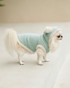 【ヌックル/Nukle】のNukle・テディドッグウェア/フーディ 人気、トレンドファッション・服の通販 founy(ファニー) ファッション Fashion レディースファッション Fashion for Women ソックス&靴下 Socks & Hosiery ソックス Socks, Hosiery ダブル Double, Double-Breasted ポンポン Pom-Pom, Fluffy Ball 防寒 Cold Protection, Winter-Ready 冬 Winter / This Winter 犬 Dog thumbnail ブルーグリーン|ID: prp329100004938378 ipo3291000000037057487